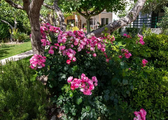 Dubravka By Guide * Klek